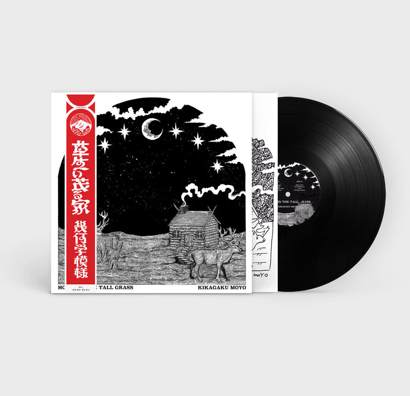幾何学模様 Kikagaku Moyo - House In The Tall Grass