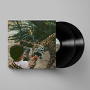 Unknown Mortal Orchestra - V