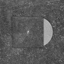 Birds Of Passage - The Last Garden