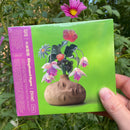 大象體操 Elephant Gym - 夢境 Dreams