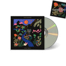 José González - Local Valley