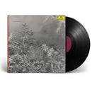 Balmorhea - Pendant World