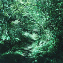 Ironomi - 琹の葉 Kotonoha