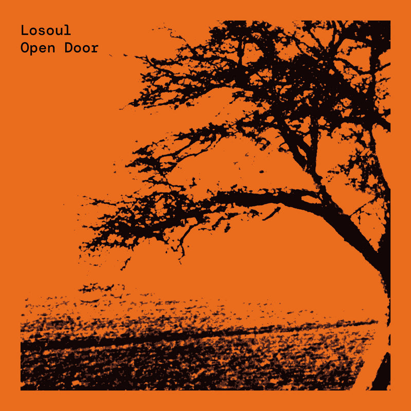 LoSoul - Open Door