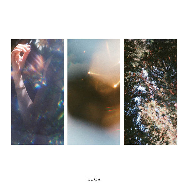 LUCA - So, I began
