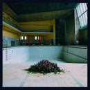 LYR - Call In The Crash Team