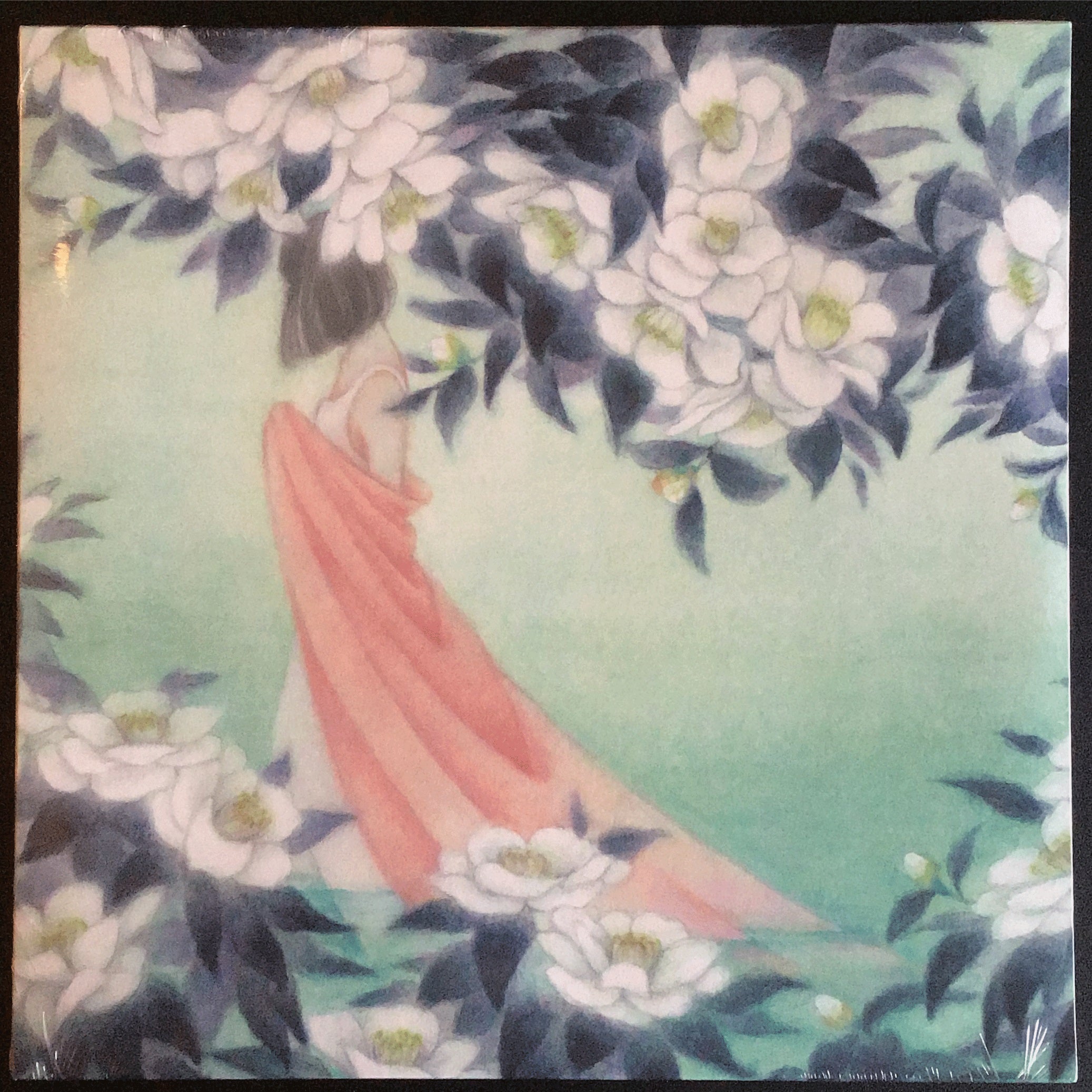 Minuano - WHITE NOISE RECORDS Minuano - WHITE NOISE RECORDS