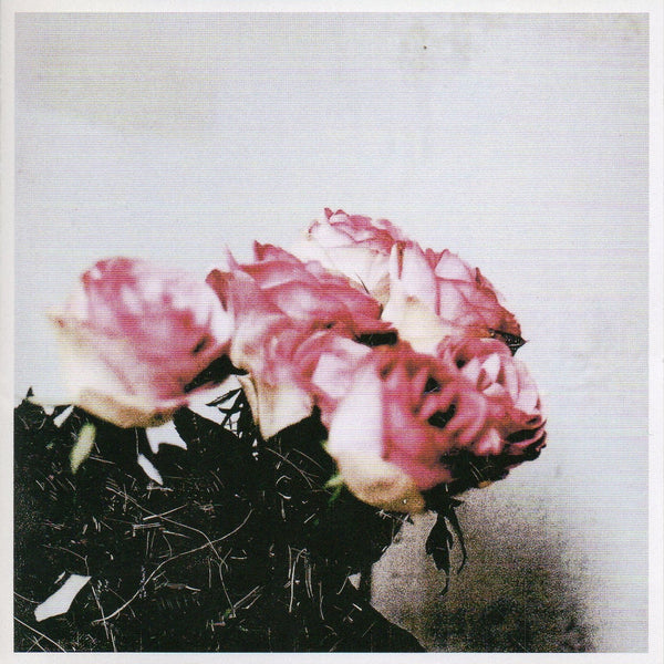 Minuano - WHITE NOISE RECORDS