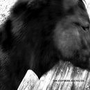 Mono - One Step More And You Die