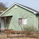 Siamese Cats - Friends Again