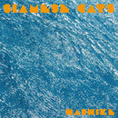 Siamese Cats - Hashike