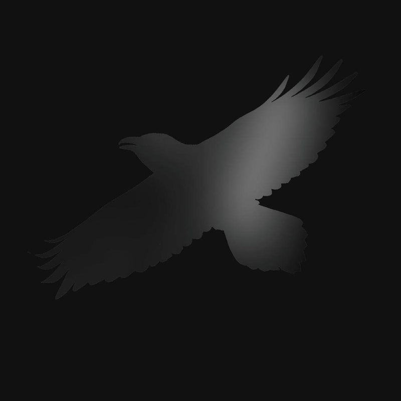 Sigur Rós With Steindór Andersen, Hilmar Örn Hilmarsson And María Huld Markan Sigfúsdóttir - Odin's Raven Magic