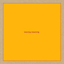 Swans - Leaving Meaning