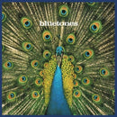 The Bluetones - Expecting to Fly
