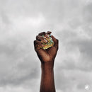 The Comet Is Coming - Prophecy