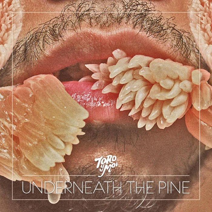 Toro Y Moi ‎– Underneath The Pine