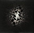 Träd Gräs Och Stenar - Hemlösa Katter / Homeless Cats