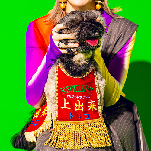 ミュージシャン tricot DVD tricot - 上出来