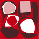 Various - Mr Bongo Record Club Volume Five