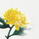 Various - Spring Snow