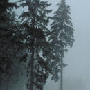 Yann Gourdon - Yann Gourdon