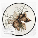 YoungQueenz - 神隱 Spirited Away